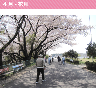 伊坂ダムなど、近隣の桜スポットに屋外歩行訓練も兼ねてお出かけします。