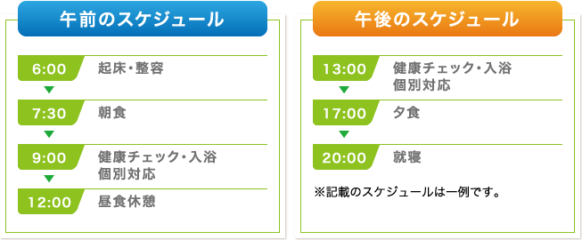 一日のスケジュール