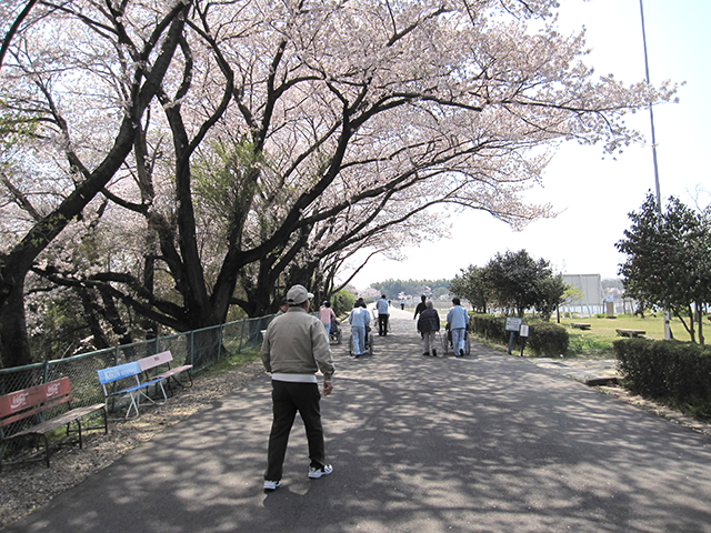 4月-花見